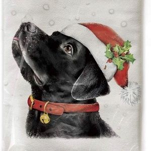 Meet your Posher, Laurie